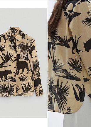 Стильна сорочка блуза massimo dutti 3