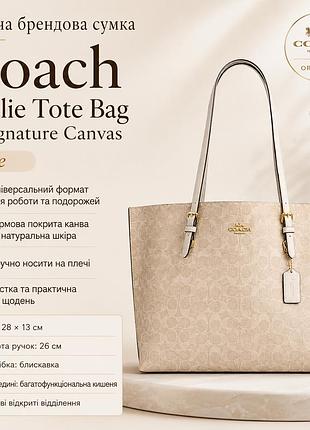 Жіноча, брендова, велика cвітла сумка тоут сoach mollie tote bag in signature canvas, оригінал, сша