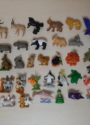 Киндеры животные, натунс animals, kinder natoons