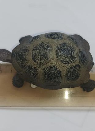 Черепаха schleich 5