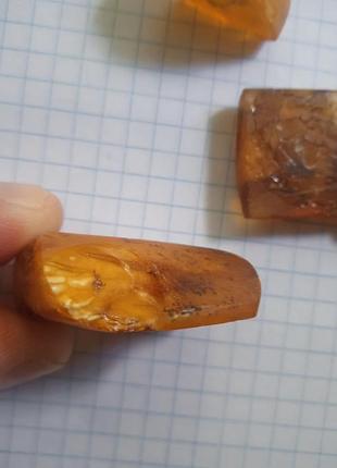 Янтарь натуральной величины 3