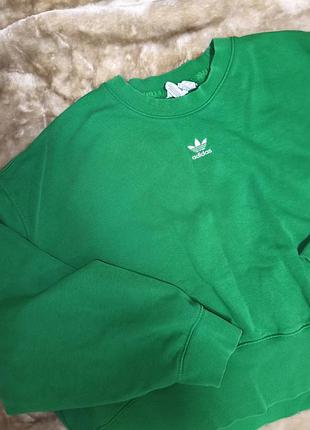 Світшот жіночий adidas зелений 2