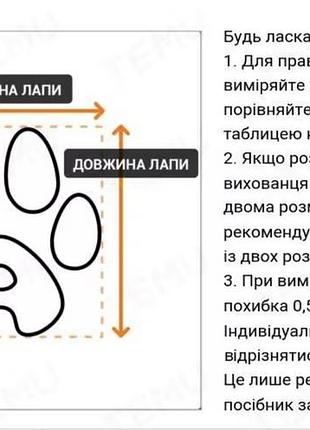 Взуття для собак 2