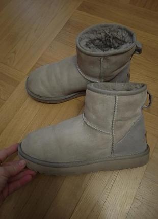 Ugg, черевики зимові
