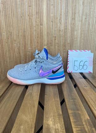 Кроссовки nike zoom lebron nxt gen