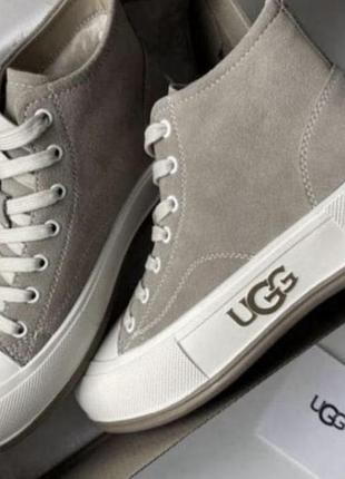 Кеды фирмы ugg оригинал натуральная замша / овчина
