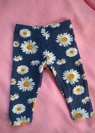 Легинсы, лосины