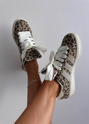 Кросівки adidas campus leopard 6