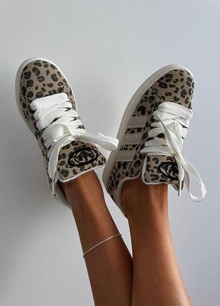 Кросівки adidas campus leopard 4