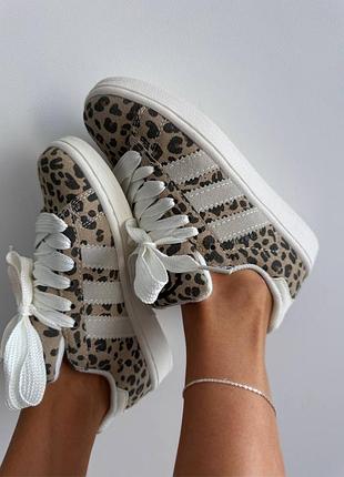 Кросівки adidas campus leopard