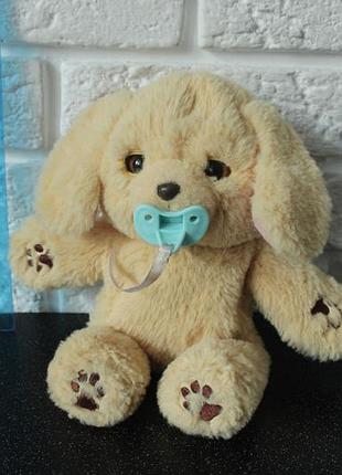 Little live pets cozy dozys charlie the puppy. м'яка інтерактивна іграшка-обіймашка