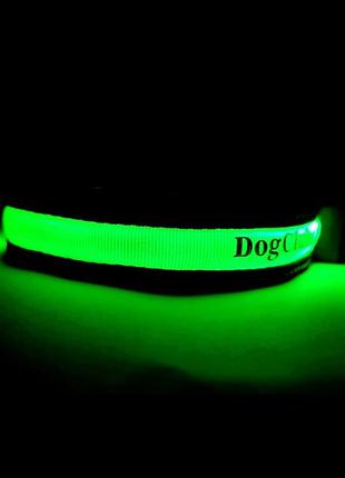 Світний нашийник для собак dogclub solar lux m (40-51 см) green