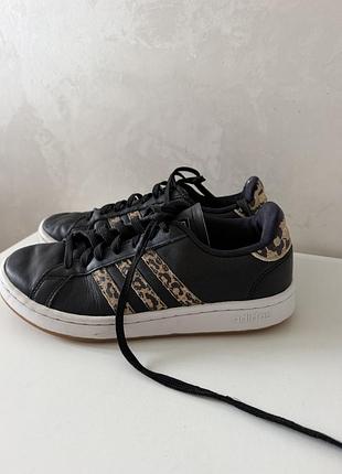 Кросівки жіночі adidas чорні з леопардовим принтом