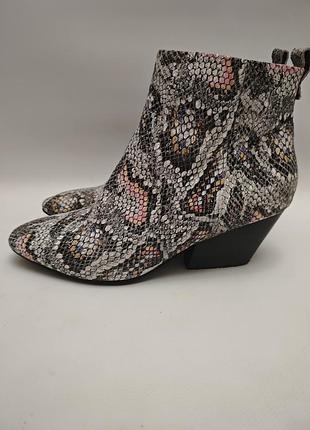 Ботинки казаки shoe the bear 4