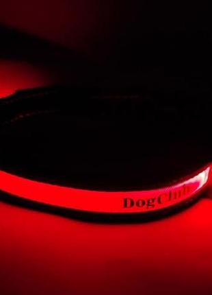 Світний нашийник для собак dogclub solar lux l (50-60 см) red
