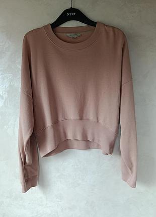​✨ укороченный женский свитшот allsaints (enrico sweat) ✨ имеет нюанс