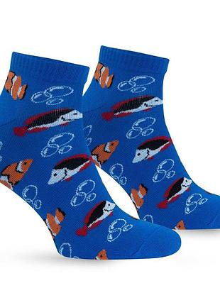 Шкарпетки premier socks амфіпріон, унісекс, розм. 36-39, 40-42, 43-45