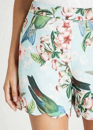 🥰 шорти ted baker 4 2