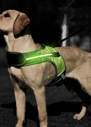 Шлея с подсветкой для собак dogclub green s (г40-50/ш31-39)