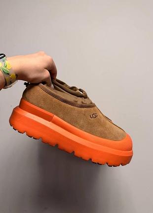 Уцінка уггі чоловічі ugg tasman hybrid chestnut orange