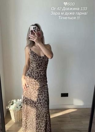 Сукня міді жіноча zara леопардова 2