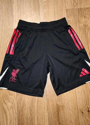 Детские тренировочные шорты adidas liverpool fc tiro (оригинал) 9-10 лет ростом 140 см