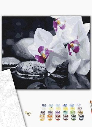 Brushme classic картина по номерам цветы дзена, 48×60 см