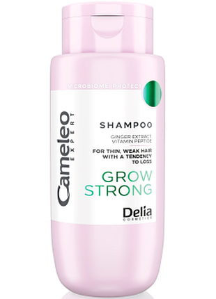 Шампунь для волос укрепляющий delia cameleo expert grow strong с экстрактом имбиря, 300мл, 300 мл
