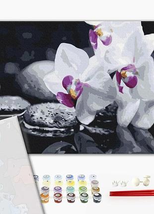 Brushme premium картина за номерами квіти дзену, 40×50 см, 40x50 см