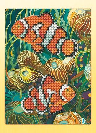 , 17×22.5 см