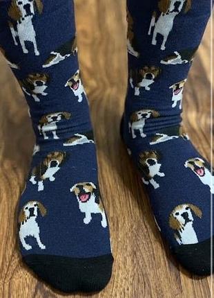 Шкарпетки 🧦 4