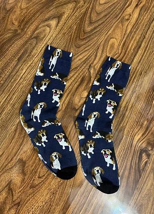 Шкарпетки 🧦