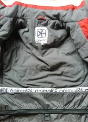 Шикарная фирменная горнолыжная куртка,animal5 фото