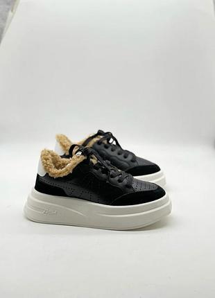 Кросівки ash