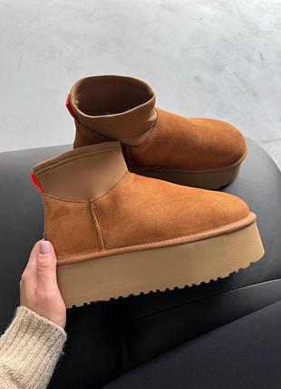 Уггі ugg classic dipper low chestnut