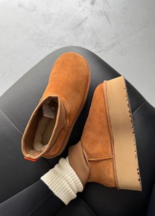 Уггі ugg classic dipper low chestnut 2