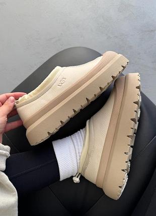 Уггі жіночі ugg tasman hybrid beige