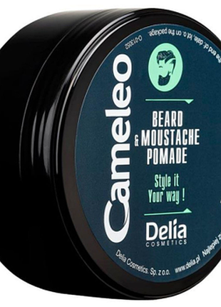 Помада для бороды и усов delia cameleo men, 50г, 50 г