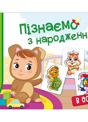 Детская развивающая игра "изучаем с рождения: в доме" 264016, 8 карточек