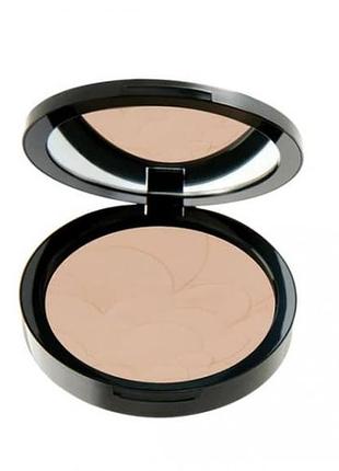 Pastel пудра profashion advanced тон 35, 11 г
