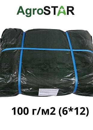 Тент универсальный"agrostar" 100 (6*12)зел