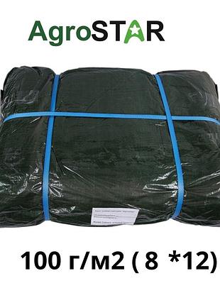 Тент універсальний"agrostar" 100(8*12)зел
