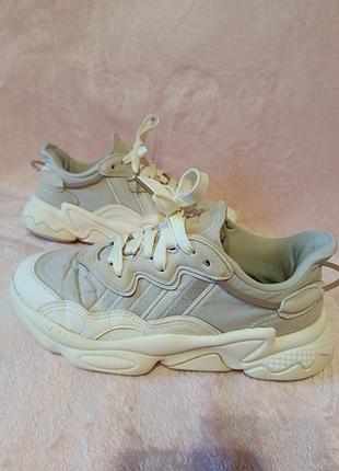 Кроссовки adidas ozweego оригинал