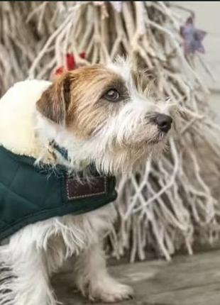 Одяг для домашніх тварин kentucky dogwear пальто для собак