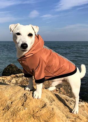 Куртка-ветровка для собак dogclub rost l brown