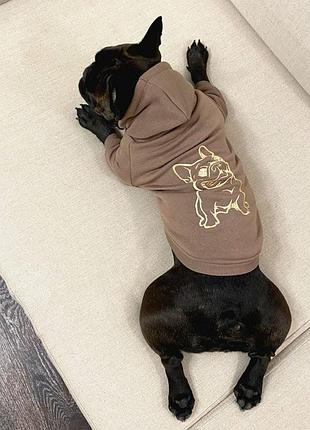 Худи для собак dogclub frenchdog m brown