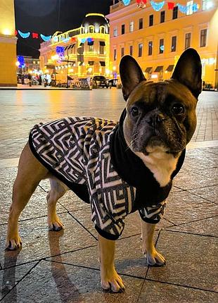Худи для собак dogclub wix m black