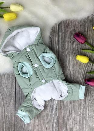 Комбинезон для собак dog baby lovely s mint