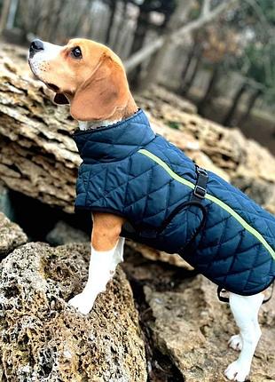 Жилетка для собак dogclub snup xxl blue