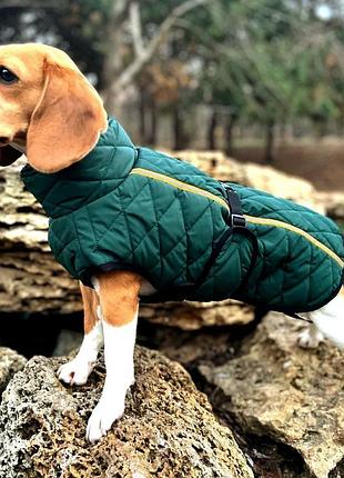 Жилетка для собак dogclub snup xl green